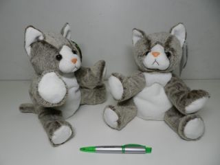 Obrázek z Kočka plyšová 21cm 